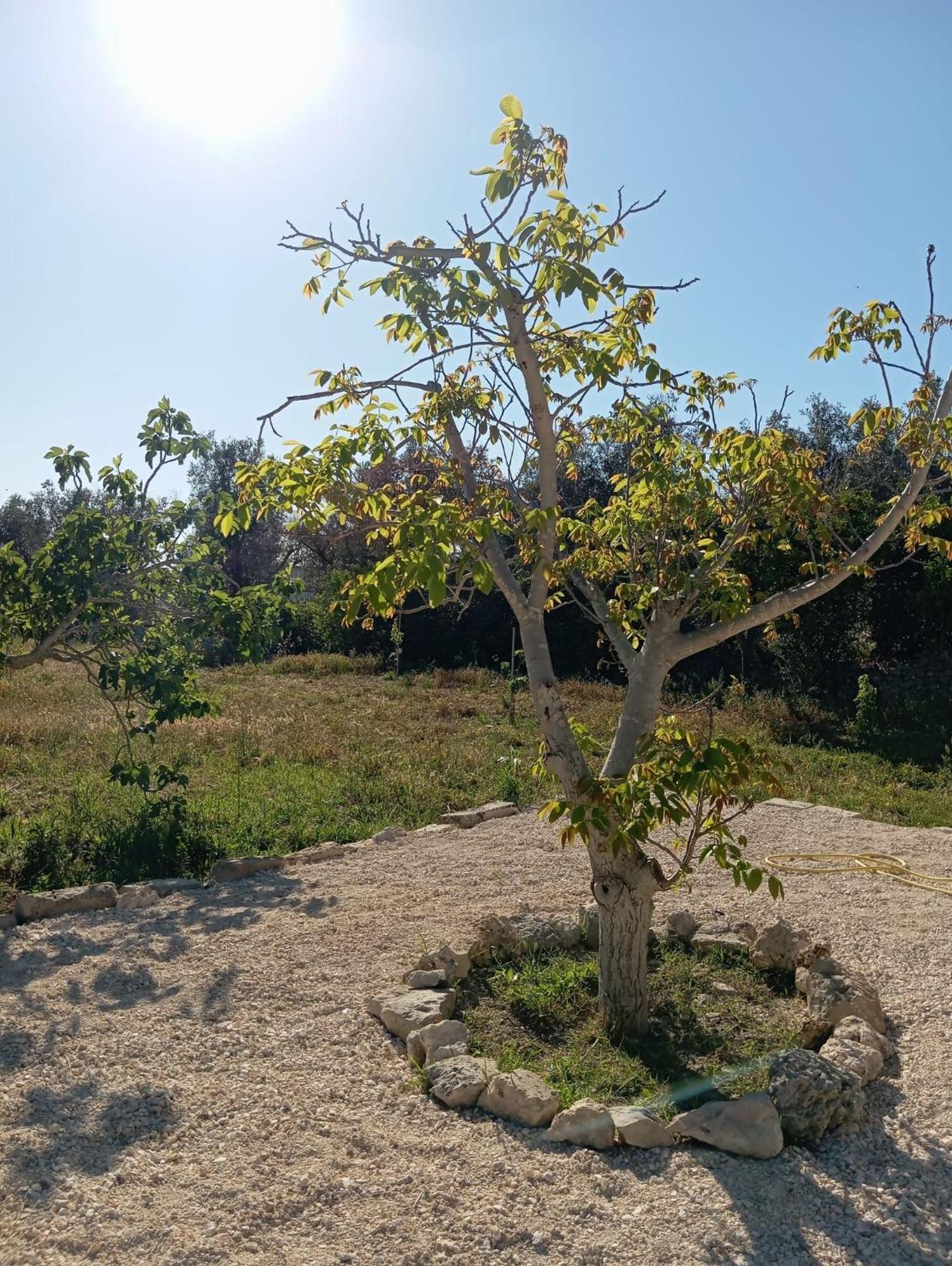 Casolare Giardino Aiarella-Assunta Leilighet Merine Rom bilde